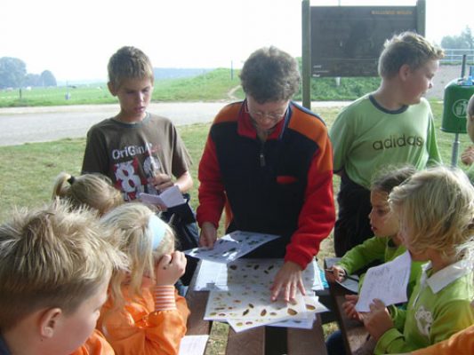 Werken op de picknicktafel.